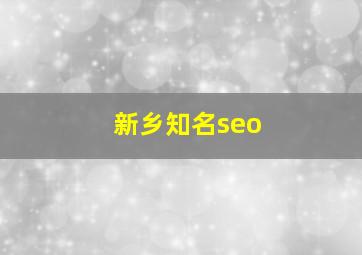 新乡知名seo