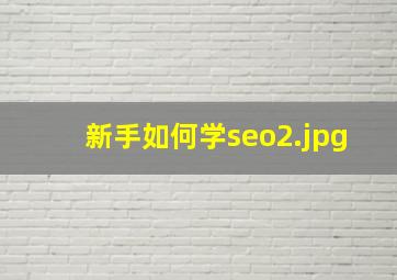 新手如何学seo