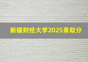 新疆财经大学2025录取分