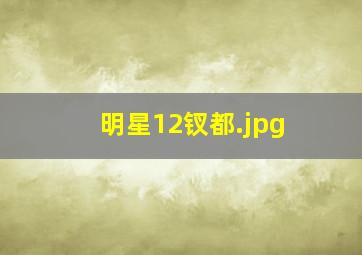 明星12钗都