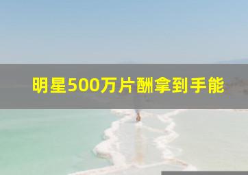 明星500万片酬拿到手能