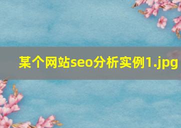 某个网站seo分析实例