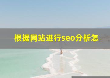 根据网站进行seo分析怎