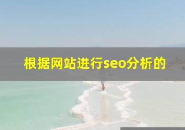 根据网站进行seo分析的