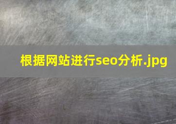根据网站进行seo分析