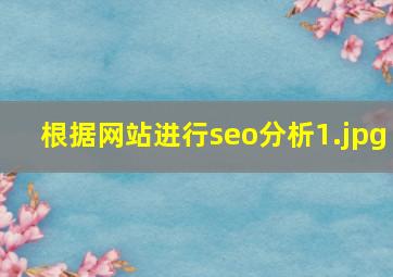 根据网站进行seo分析
