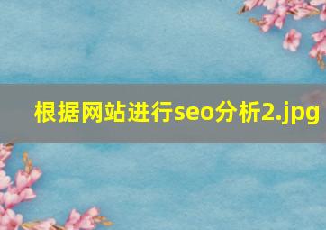 根据网站进行seo分析