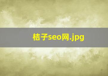 桔子seo网