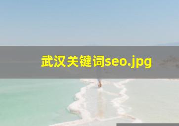 武汉关键词seo