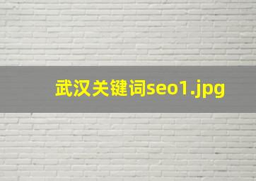 武汉关键词seo