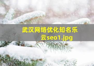 武汉网络优化知名乐云seo