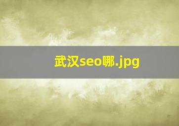 武汉seo哪