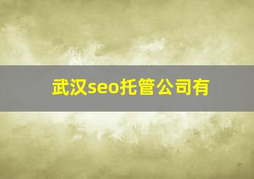 武汉seo托管公司有