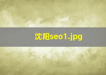 沈阳seo