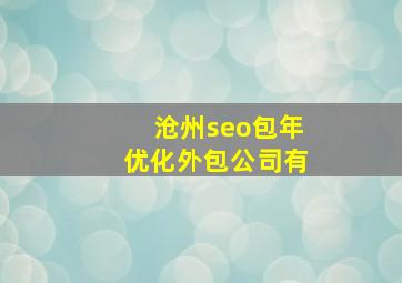 沧州seo包年优化外包公司有