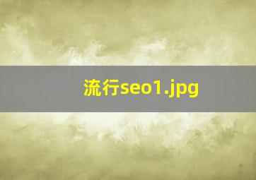 流行seo