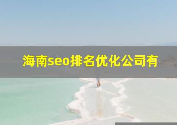 海南seo排名优化公司有