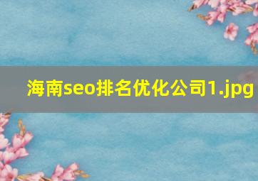 海南seo排名优化公司