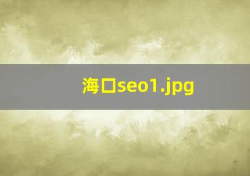 海口seo