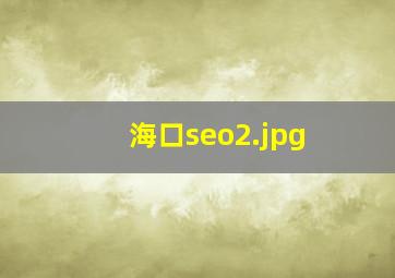 海口seo