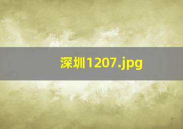 深圳1207