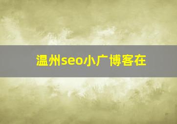 温州seo小广博客在