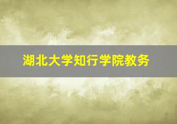 湖北大学知行学院教务