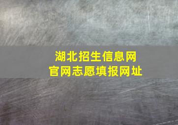 湖北招生信息网官网志愿填报网址