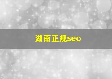 湖南正规seo
