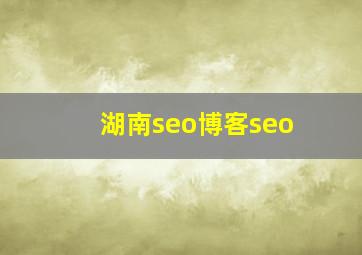 湖南seo博客seo