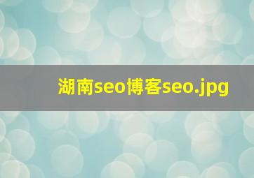 湖南seo博客seo