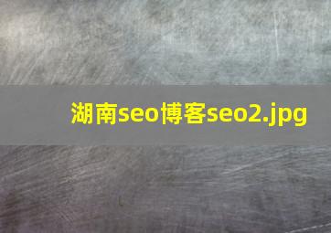 湖南seo博客seo
