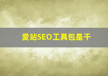 爱站SEO工具包是干
