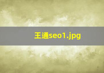 王通seo