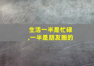 生活一半是忙碌,一半是朋友圈的