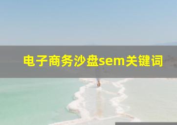 电子商务沙盘sem关键词