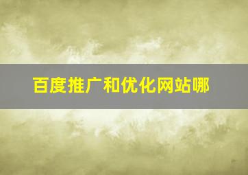 百度推广和优化网站哪