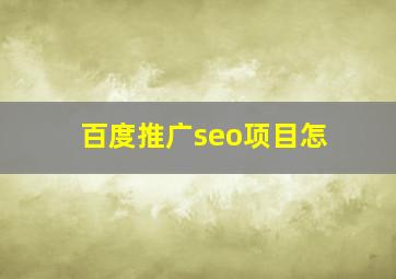 百度推广seo项目怎