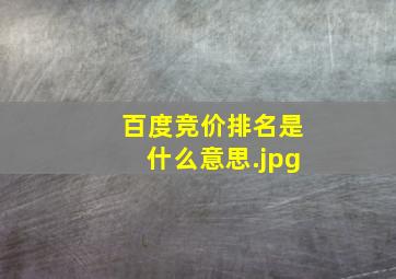 百度竞价排名是什么意思