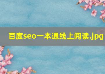 百度seo一本通线上阅读