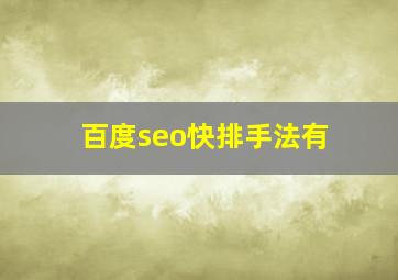百度seo快排手法有