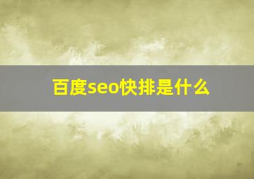 百度seo快排是什么