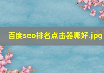 百度seo排名点击器哪好