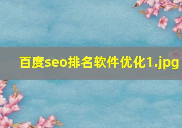 百度seo排名软件优化