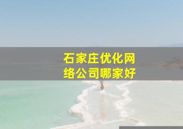 石家庄优化网络公司哪家好