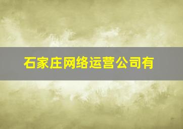 石家庄网络运营公司有