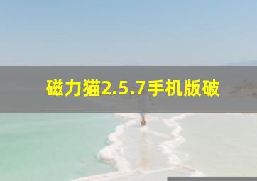 磁力猫2.5.7手机版破
