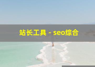 站长工具 - seo综合