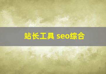 站长工具 seo综合