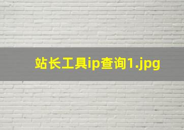 站长工具ip查询